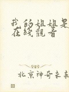 我的姐姐是法官在线观看