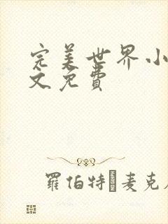 完美世界小说全文免费封面