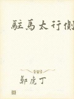 驻马太行侧封面