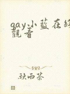 gay小蓝在线观看