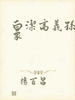 白洁高义孙倩大象封面