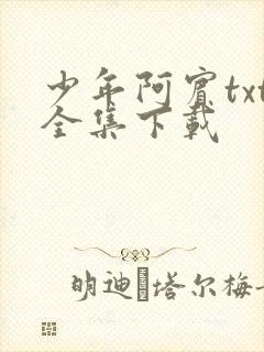 少年阿宾txt全集下载