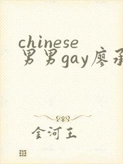 chinese男男gay廖承宇黄网站