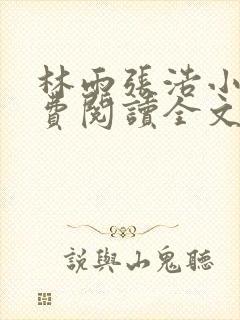 林雨张浩小说免费阅读全文最新章节