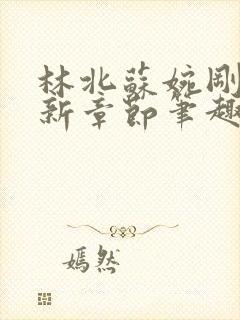 林北苏婉刚刚更新章节笔趣阁