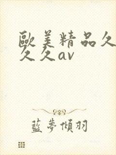 欧美精品久久久久久av