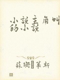 小说主角叫林浩的小说