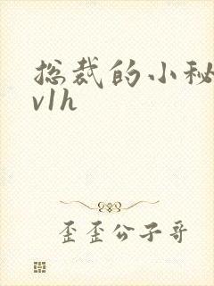 总裁的小秘书1v1h