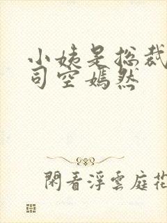 小姨是总裁叶凡司空嫣然