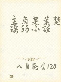 主角是叶楚姜君瑶的小说