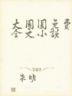 大团圆免费阅读全文小说封面