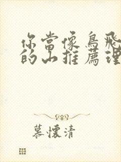 你当像鸟飞往你的山推荐理由封面