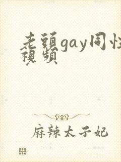 老头gay同性视频封面