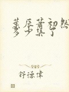 叶辰萧初然更新多少集了封面