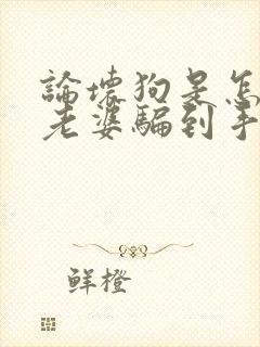 论坏狗是怎么把老婆骗到手的小说封面