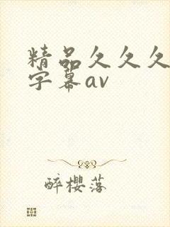 精品久久久中文字幕av