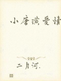 小唐璜爱情历史