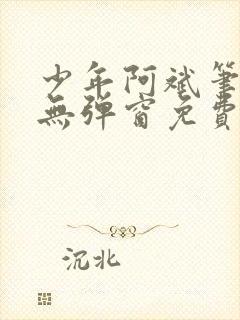 少年阿斌笔趣阁无弹窗免费阅读封面