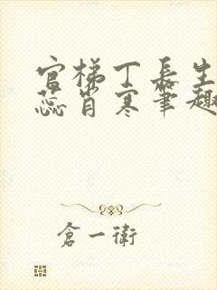 官梯丁长生贺乐蕊肖寒笔趣阁