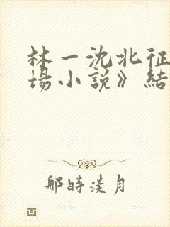 林一沈北征《官场小说》结局