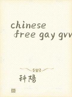 chinese free gay gvvideo