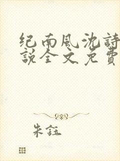 纪南风沈诗澜小说全文免费阅读