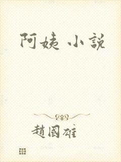 阿姨 小说