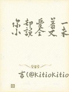 你却爱着一个他小说全文未删减免费