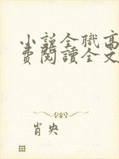 小说全职高手免费阅读全文无窗口