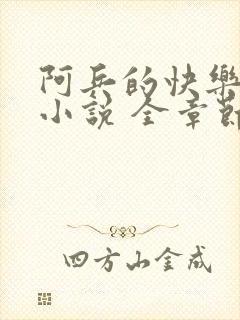 阿兵的快乐生活小说 全章节阅读免费