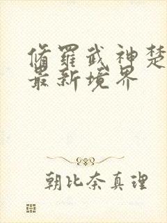 修罗武神楚枫的最新境界