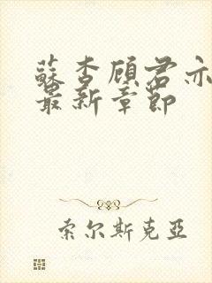 苏杳顾君亦小说最新章节