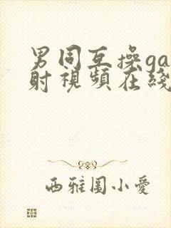 男同互操gay射视频在线看