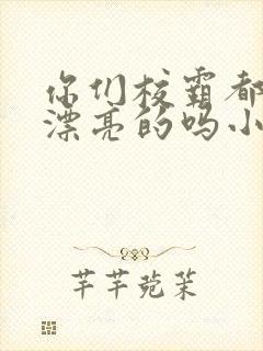 你们校霸都这么漂亮的吗小说免费封面