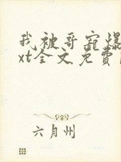 我被哥宠爆了txt全文免费阅读笔趣阁