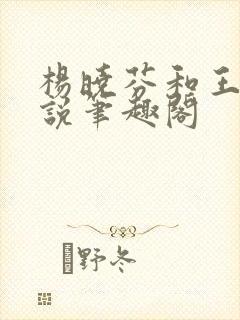 杨晓芬和王磊小说笔趣阁封面