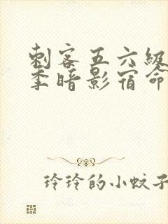 刺客五六级第四季暗影宿命免费观看