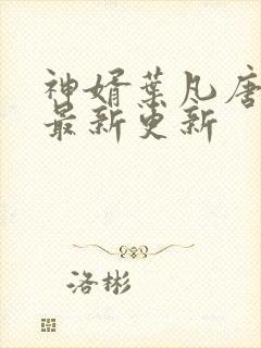 神婿叶凡唐若雪最新更新