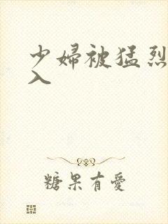 少妇被猛烈的进入