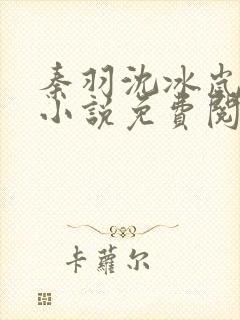 秦羽沈冰岚穿越小说免费阅读