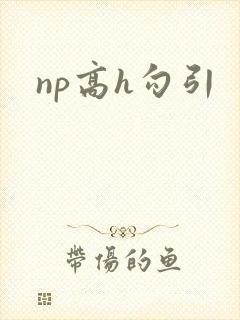 np高h勾引