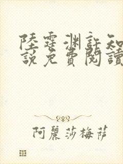 陆霆渊许知夏小说免费阅读最新章节