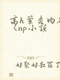高h荤爽肉欲文〈np小说