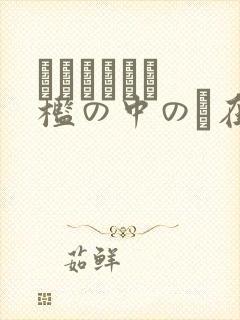 ダークシェル 槛の中の艶在线观看
