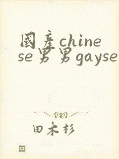 国产chinese男男gaysex网站