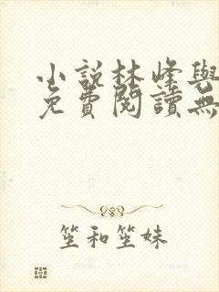 小说林峰与宁欣免费阅读无弹窗