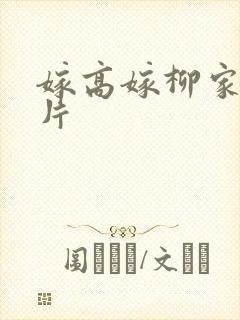 嫁高嫁柳家动画片