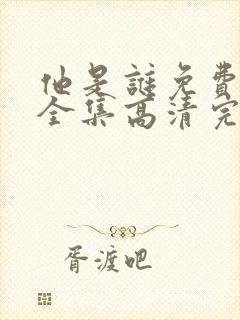 他是谁免费观看全集高清完整版封面