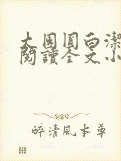 大团圆白洁免费阅读全文小说