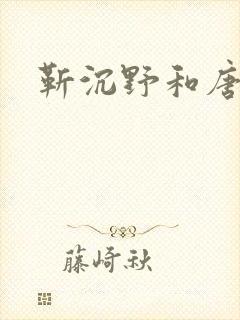 靳沉野和唐栖雾封面